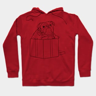 Illustrated cute english Bulldog jumping out of a present box Hoodie